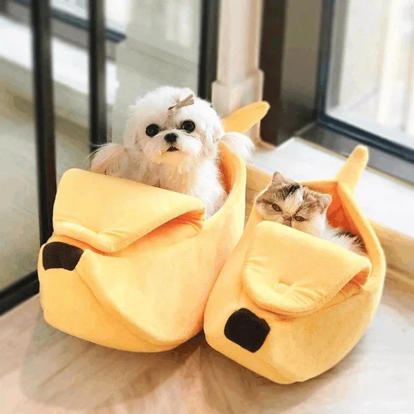 Fun Banana Pet House